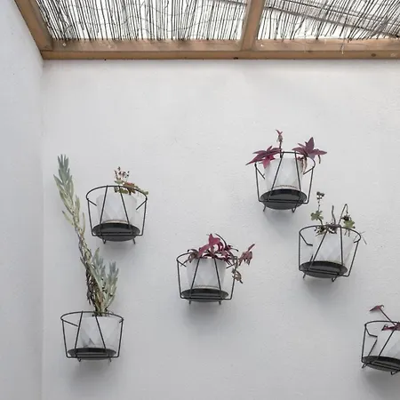 Alfama Design With Terrace By Homing Lägenhet Lisboa